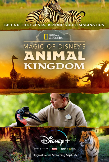 Au cœur de Disney’s Animal Kingdom Saison 1