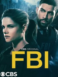 F.B.I. Saison 5