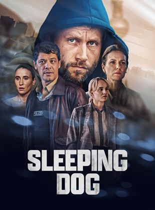 Sleeping Dog saison 1